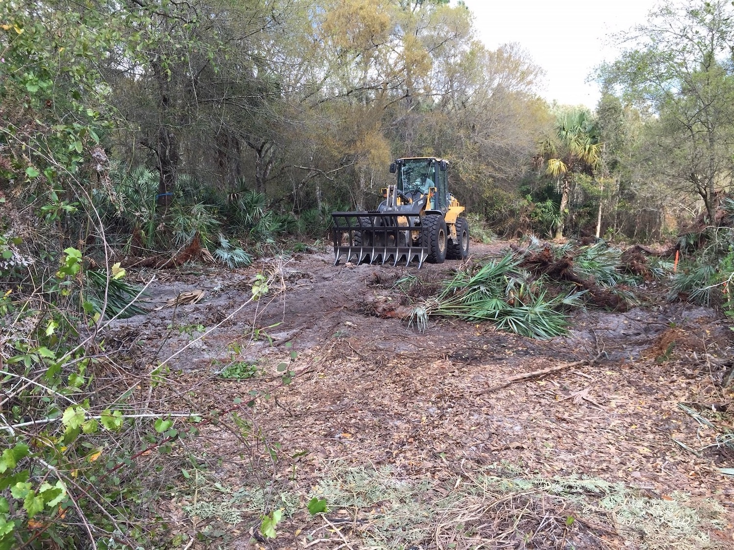 site clearing